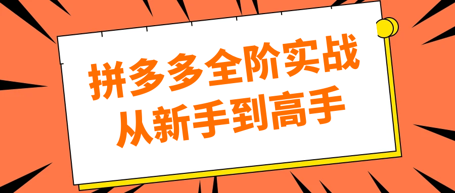 拼多多全阶实战从新手到高手