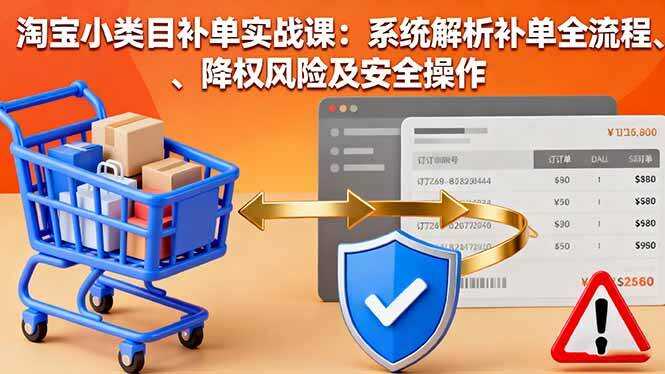 （16239期）淘宝小类目补单实战课：系统解析补单全流程、降权风险及安全操作