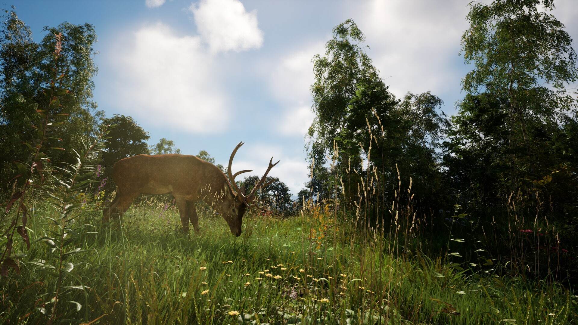 《恐惧地带》v1.3.9.1中文版-趣奇资源网-第6张图片