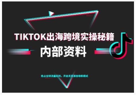 TikTok跨境电商0-1搭建运营，TK出海跨境实操秘籍（10月更新）