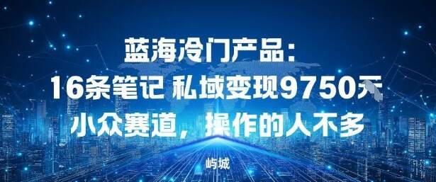 蓝海冷门产品：16条笔记私域变现9750米，小众赛道，操作的人不多
