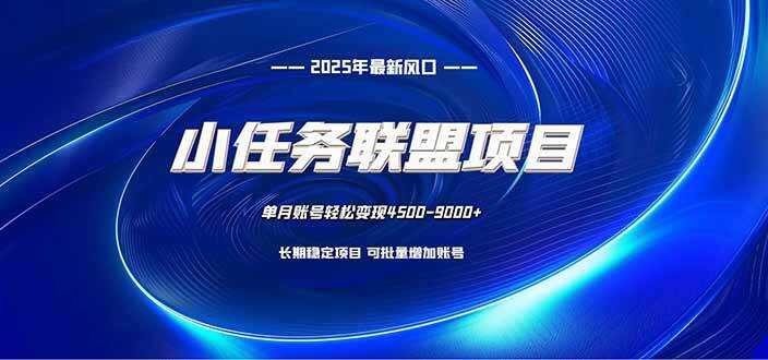 （16521期）小任务联盟项目：一台电脑每天只需10分钟，轻松简单稳定