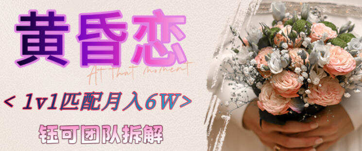 副业拆解：黄昏恋1对1匹配月入6个，潜力巨大