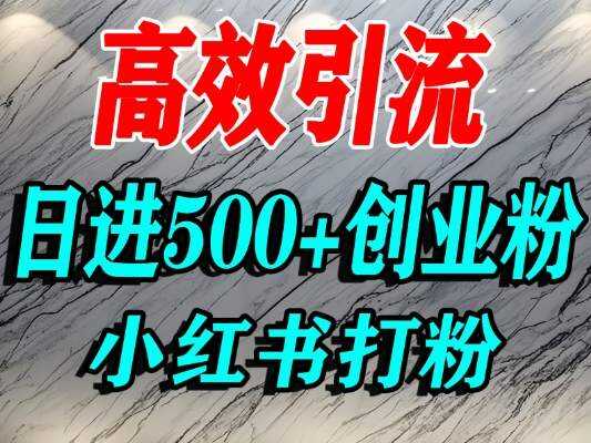 怎么打创业粉？小红书预算3000项目推荐引流精准创业粉，单人操作日引500+精准创业粉