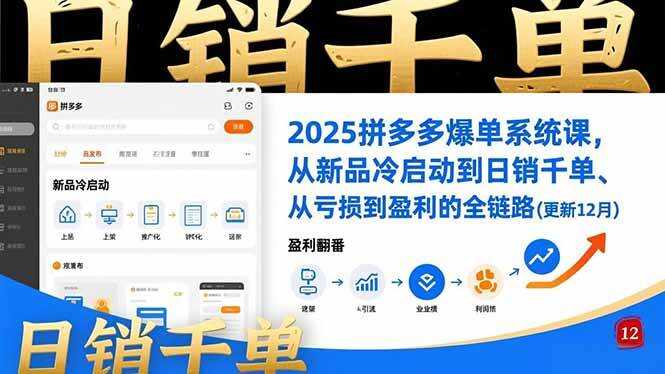 （16894期）2025拼多多爆单系统课，从新品冷启动到日销千单、从亏损到盈利的全链路（更新12月）