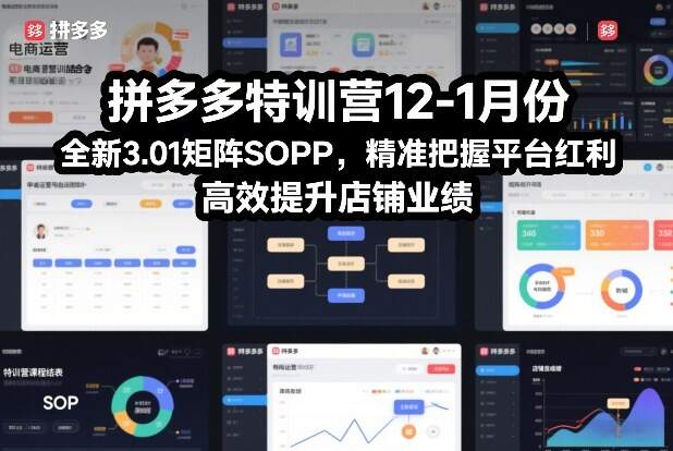 拼多多特训营12-1月份，全新3.01矩阵Sop，精准把握平台红利，高效提升店铺业绩